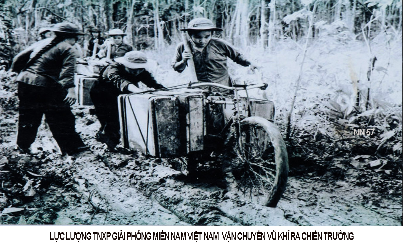 W4-HN5